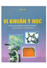 Book's cover